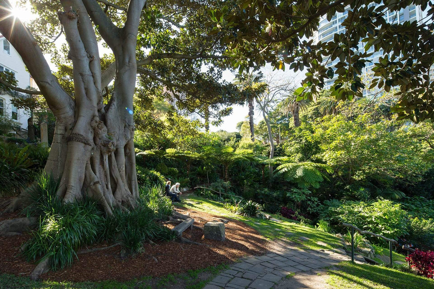 Sydney's Best Parks - Where to Go for a Sunday Afternoon Picnic