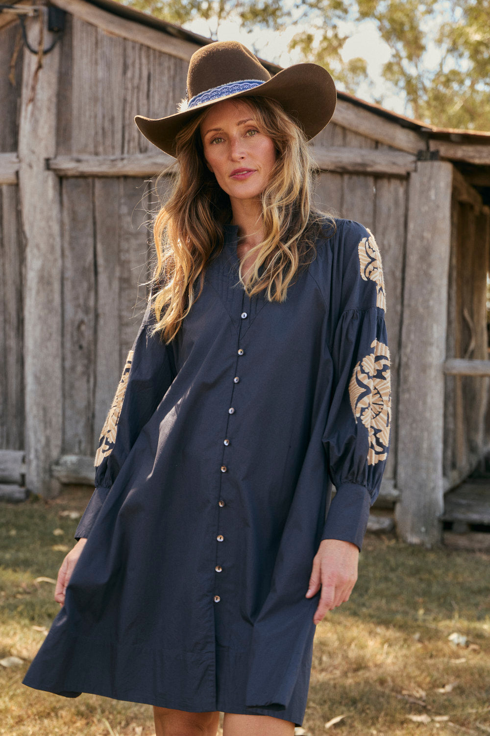 Trinny Embroidered Dress in Reverie